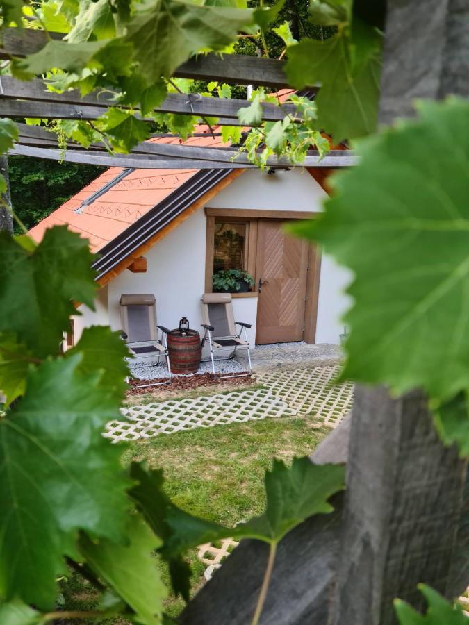 Zidanica Zagar Villa Dolenjske Toplice Exterior foto