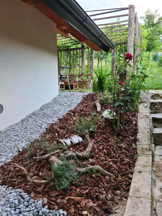 Zidanica Zagar Villa Dolenjske Toplice Exterior foto